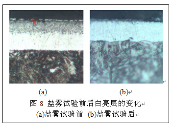 鹽霧試驗(yàn)白亮層對(duì)比