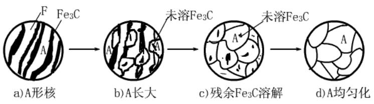 共析鋼的奧氏體化過(guò)程示意圖