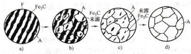 共析鋼奧氏體形成過(guò)程示意圖